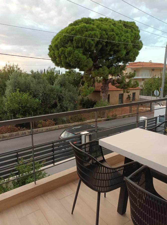 프사토피르고스 Two Olive Trees 아파트 외부 사진